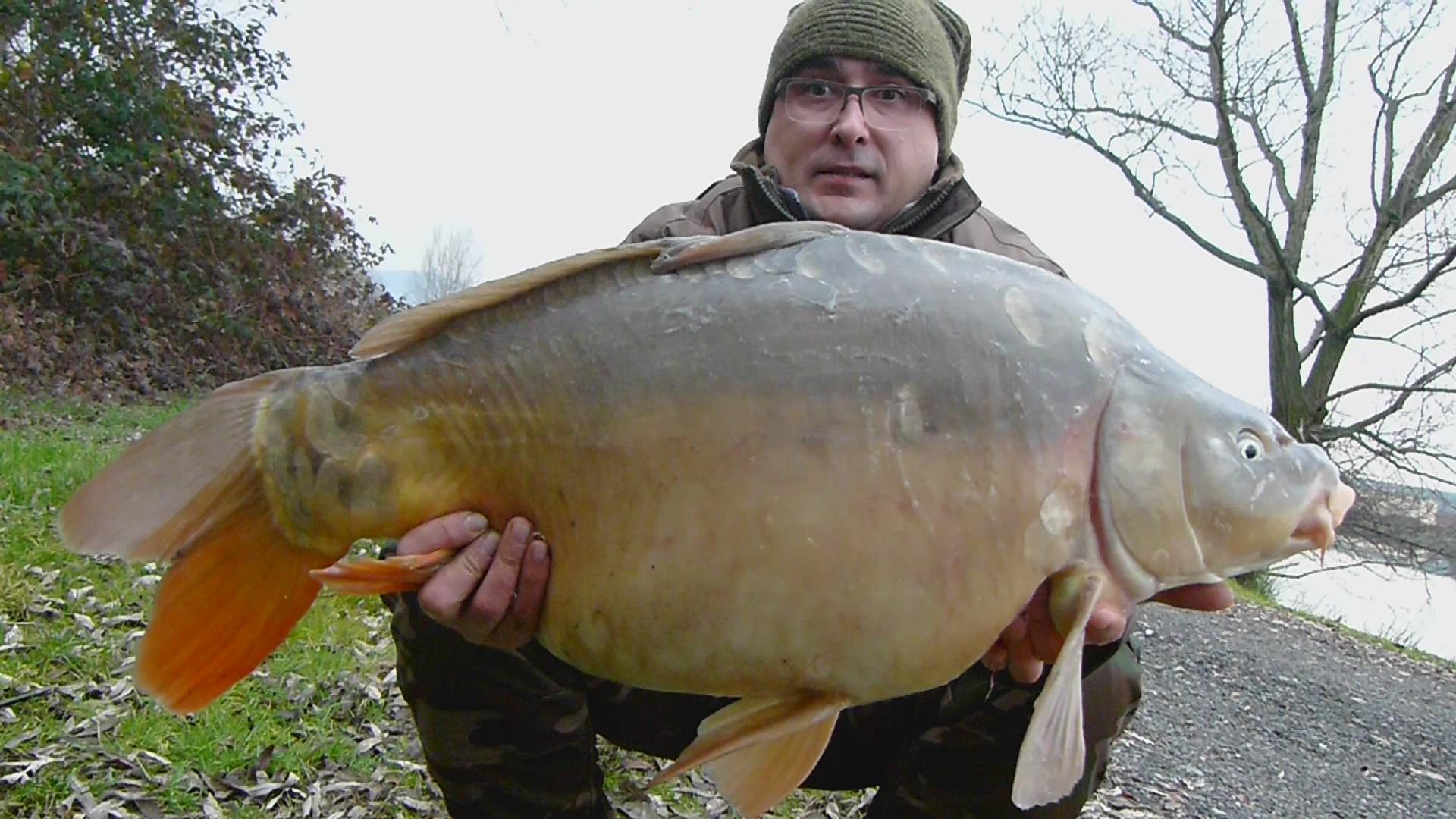 ISOLA DEL PESCATORE 28 - 28 dec. - p1040021.JPG